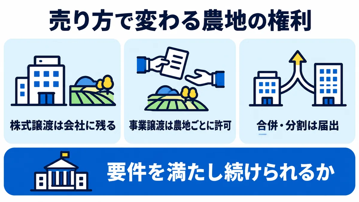 株式譲渡なら農地の権利は会社に残り、事業譲渡では農地ごとに許可、合併・分割では届出が要ること、要件を満たし続けられるかを確かめることを示した図